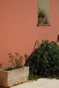 Petra Country House Feels Like a Second Home in the Heart of Salento